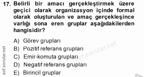 17. soru: Belirli bir amacı gerçekleştirmek üzere geçici olarak organizasyon içinde formal olarak oluşturulan ve amaç gerçekleş…