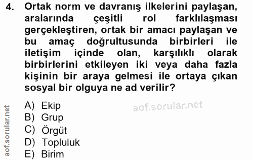 4. soru: Ortak norm ve davranış ilkelerini paylaşan, aralarında çeşitli rol farklilaşması gerçekleştiren, ortak bir amacı payl…