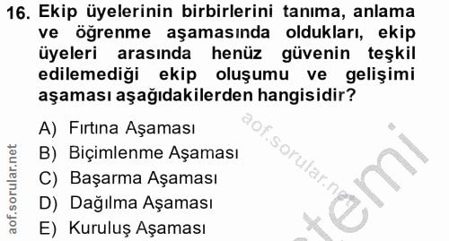 16. soru: Ekip üyelerinin birbirlerini tanıma, anlama ve öğrenme aşamasında oldukları, ekip üyeleri | arasında henüz güvenin te…
