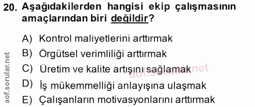 20. soru: Aşağıdakilerden hangisi ekip çalışmasının amaçlarından biri değildir? A) Kontrol maliyetlerini arttırmak B) Örgütsel…