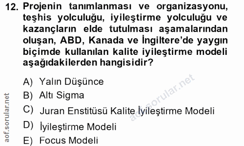 12. soru: Projenin tanımlanması ve organizasyonu, teşhis yolculuğu, iyileştirme yolculuğu ve kazançların elde tutulması aşamala…