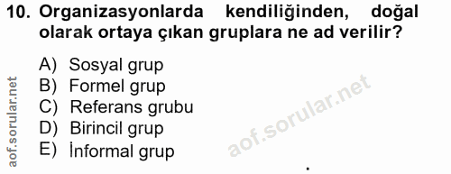 10. soru: Organizasyonlarda kendiliğinden, doğal olarak ortaya çıkan gruplara ne ad verilir? A) Sosyal grup B) Formel grup C) R…