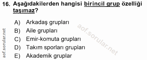 16. soru: Aşağıdakilerden hangisi birincil grup özelliği taşımaz? A) Arkadaş grupları B) Aile grupları So C) Emir-komuta grupla…