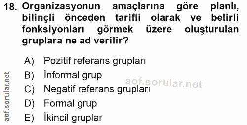 18. soru: Organizasyonun amaçlarına göre planlı, bilinçli önceden tarifli olarak ve belirli fonksiyonları görmek üzere olusturu…