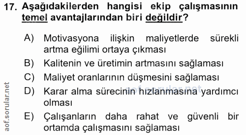 17. soru: Aşağıdakilerden hangisi ekip çalışmasının temel avantajlarından biri değildir? A) Motivasyona ilişkin maliyetlerde sü…