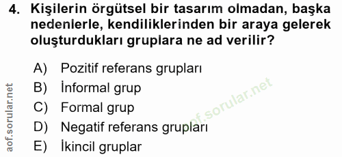 4. soru: Kişilerin örgütsel bir tasarım olmadan, başka nedenlerle, kendiliklerinden bir araya gelerek oluşturdukları gruplara…