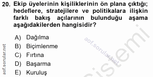 20. soru: Ekip üyelerinin kişiliklerinin ön plana çıktığı; hedeflere, stratejilere ve politikalara ilişkin farklı bakış açıları…