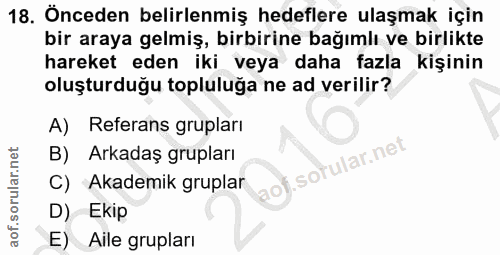 18. soru: Önceden belirlenmiş hedeflere ulaşmak için bir araya gelmiş, birbirine bağımlı ve birlikte hareket eden iki veya daha…