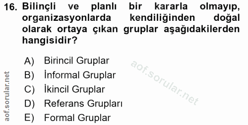 16. soru: Bilinçli ve planlı bir kararla olmayıp, organizasyonlarda kendiliğinden doğal olarak ortaya çıkan gruplar aşağıdakile…