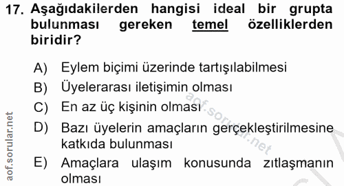 17. soru: Aşağıdakilerden hangisi ideal bir grupta bulunması gereken temel özelliklerden biridir? A) Eylem biçimi üzerinde tart…