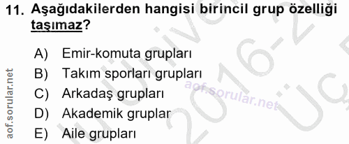 11. soru: Aşağıdakilerden hangisi birincil grup özelliği taşımaz? A) Emir-komuta grupları B) Takım sporları grupları C) Arkadaş…