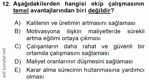 12. soru: Aşağıdakilerden hangisi ekip çalışmasının temel avantajlarından biri değildir? A) Kalitenin ve üretimin artmasını sağ…