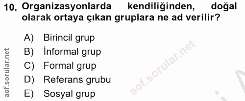 10. soru: Organizasyonlarda kendiliğinden, doğal olarak ortaya çıkan gruplara ne ad verilir? A) Birincil grup B) Informal grup…