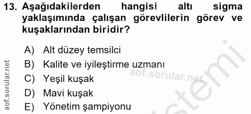 13. soru: Aşağıdakilerden hangisi altı sigma yaklaşımında çalışan görevlilerin görev ve kuşaklarından biridir? A) Alt düzey tem…