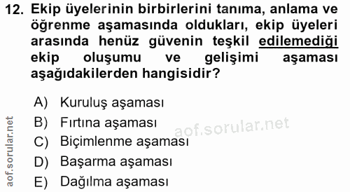 12. soru: Ekip üyelerinin birbirlerini tanıma, anlama ve öğrenme aşamasında oldukları, ekip üyeleri arasında henüz güvenin teşk…