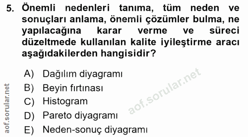 5. soru: Önemli nedenleri tanima, tum neden ve sonuçları anlama, önemli çözümler bulma, ne yapılacağına karar verme ve süreci…