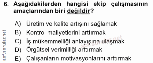 6. soru: Aşağıdakilerden hangisi ekip çalışmasının amaçlarından biri değildir? A) Uretim ve kalite artışını sağlamak B) Kontro…