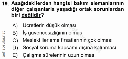 19. soru: Aşağıdakilerden hangisi bakım elemanlarının diğer çalışanlarla yaşadığı ortak sorunlardan biri değildir? A) Ücretleri…