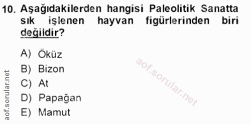 10. soru: Aşağıdakilerden hangisi Paleolitik Sanatta sık işlenen hayvan figürlerinden biri değidir? A) Öküz B) Bizon C) At D) P…