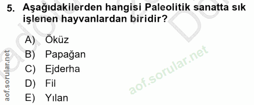 5. soru: Aşağıdakilerden hangisi Paleolitik sanatta sık işlenen hayvanlardan biridir? A) Öküz B) Papağan C) Ejderha D) Fil E)…