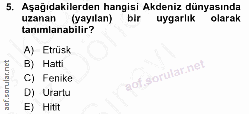 5. soru: Aşağıdakilerden hangisi Akdeniz dünyasında uzanan (yayılan) bir uygarlık olarak tanımlanabilir? A) Etrüsk B) Hatti C)…