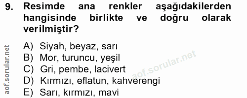9. soru: Resimde ana renkler aşağıdakilerden hangisinde birlikte ve doğru olarak verilmiştir? A) Siyah, beyaz, sarı B) Mor, tu…
