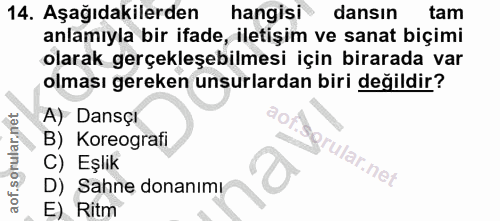 14. soru: Aşağıdakilerden hangisi dansın tam anlamıyla bir ifade, iletişim ve sanat biçimi olarak gerçekleşebilmesi için birara…