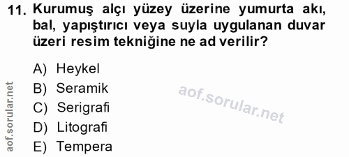 11. soru: Kurumuş alçı yüzey üzerine yumurta akı, bal, yapıştırıcı veya suyla uygulanan duvar üzeri resim tekniğine ne ad veril…