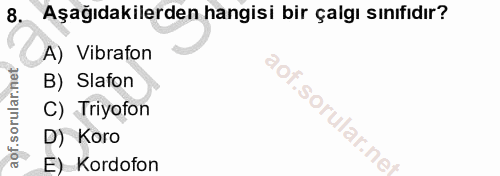 8. soru: Aşağıdakilerden hangisi bir çalgı sınıfıdır? A) Vibrafon B) Slafon C) Triyofon D) Koro E) Kordofon