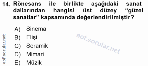 14. soru: Rönesans ile birlikte aşağıdaki sanat dallarından hangisi üst düzey "güzel sanatlar" kapsamında değerlendirilmiştir?…