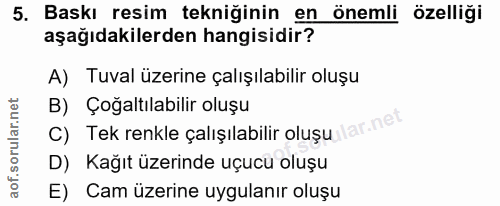 5. soru: Baskı resim tekniğinin en önemli özelliği aşağıdakilerden hangisidir? A) Tuval üzerine çalışılabilir oluşu B) Çoğaltı…