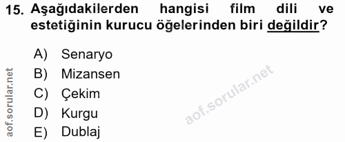 15. soru: Aşağıdakilerden hangisi film dili ve estetiğinin kurucu öğelerinden biri değildir? A) Senaryo B) Mizansen C) Çekim D)…