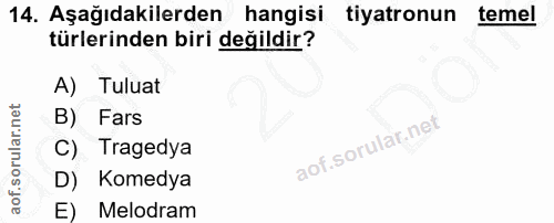 14. soru: Aşağıdakilerden hangisi tiyatronun temel türlerinden biri değildir? A) Tuluat B) Fars C) Tragedya D) Komedya E) Melodram