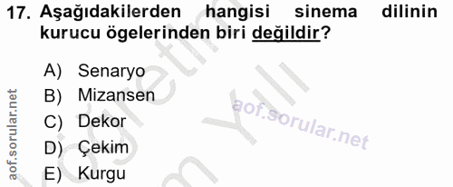 17. soru: Aşağıdakilerden hangisi sinema dilinin kurucu ögelerinden biri değildir? A) Senaryo B) Mizansen C) Dekor D) Çekim E)…