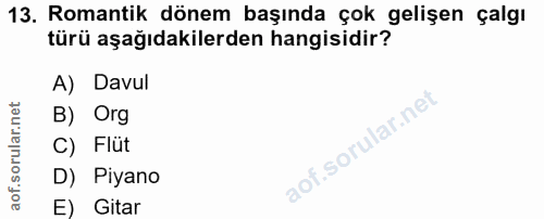13. soru: Romantik dönem başında çok gelişen çalgı türü aşağıdakilerden hangisidir? A) Davul B) Org C) Flüt D) Piyano E) Gitar