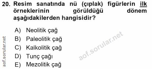 20. soru: Resim sanatında nü (çıplak) figürlerin ilk örneklerinin görüldüğü dönem aşağıdakilerden hangisidir? A) Neolitik çağ B…