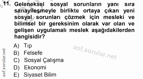 11. soru: Geleneksel sosyal sorunların yanı sıra sanayileşmeyle birlikte ortaya çıkan yeni sosyal sorunları çözmek için mesleki…