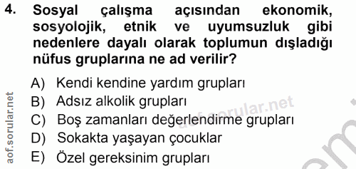 4. soru: Sosyal çalışma açısından ekonomik, sosyolojik, etnik ve uyumsuzluk gibi nedenlere dayalı olarak toplumun dışladığı nü…
