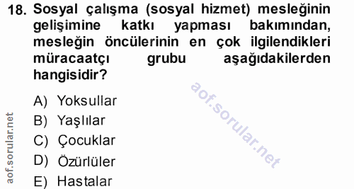 18. soru: Sosyal çalışma (sosyal hizmet) mesleğinin gelişimine katkı yapması bakımından, mesleğin öncülerinin en çok ilgilendik…