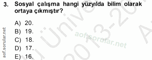 3. soru: Sosyal çalışma hangi yüzyılda bilim olarak ortaya çıkmıştır? A) 20. B) 19. aofysprutar.net C) 18. D) 17.. E) 16.