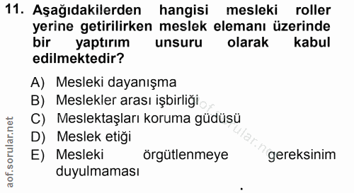 11. soru: Aşağıdakilerden hangisi mesleki roller yerine getirilirken meslek elemanı üzerinde bir yaptırım unsuru olarak kabul e…