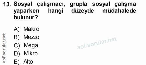 13. soru: Sosyal çalışmacı, grupla sosyal çalışma yaparken hangi düzeyde müdahalede bulunur? A) Makro B) Mezzo C) Mega D) Mikro…