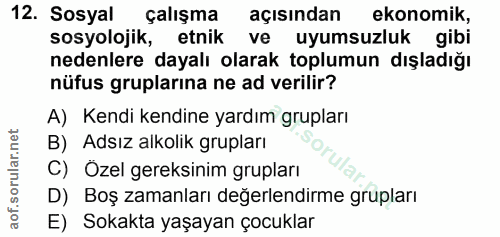 12. soru: Sosyal çalışma açısından ekonomik, sosyolojik, etnik ve uyumsuzluk gibi nedenlere dayalı olarak toplumun dışladığı nü…