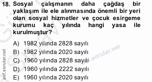 18. soru: Sosyal çalışmanın daha çağdaş bir yaklaşım ile ele alınmasında önemli bir yeri olan sosyal hizmetler ve çocuk esirgem…