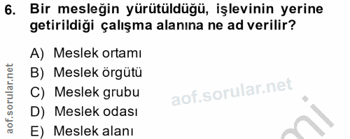 6. soru: Bir mesleğin yürütüldüğü, işlevinin yerine getirildiği çalışma alanına ne ad verilir? A) Meslek ortamı B) Meslek örgü…