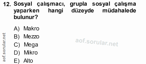 12. soru: Sosyal çalışmacı, grupla sosyal çalışma yaparken hangi düzeyde müdahalede bulunur? A) Makro orular.net B) Mezzo C) Me…
