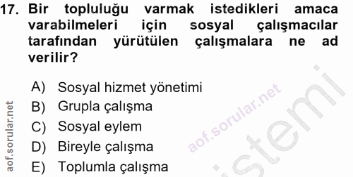 17. soru: Bir topluluğu varmak istedikleri amaca varabilmeleri için sosyal çalışmacılar tarafından yürütülen çalışmalara| ne ad…