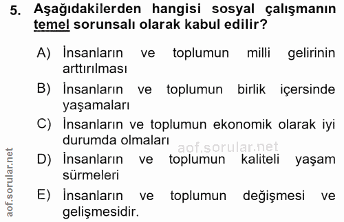 5. soru: Aşağıdakilerden hangisi sosyal çalışmanın temel sorunsalı olarak kabul edilir? A) İnsanların ve toplumun milli geliri…