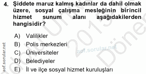 4. soru: Şiddete maruz kalmış kadınlar da dahil olmak üzere, sosyal çalışma mesleğinin birincil hizmet sunum alanı aşağıdakile…
