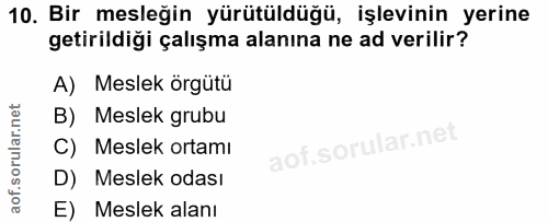 10. soru: Bir mesleğin yürütüldüğü, işlevinin yerine getirildiği çalışma alanına ne ad verilir? A) Meslek örgütü B) Meslek grub…